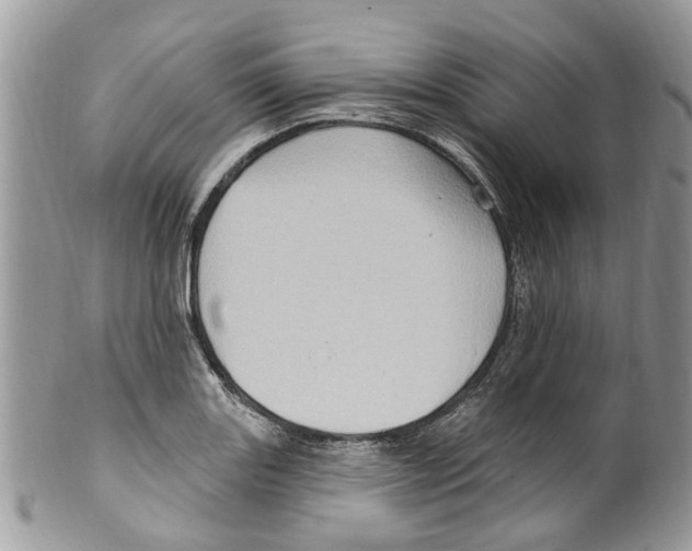 X0000099581131200806131312