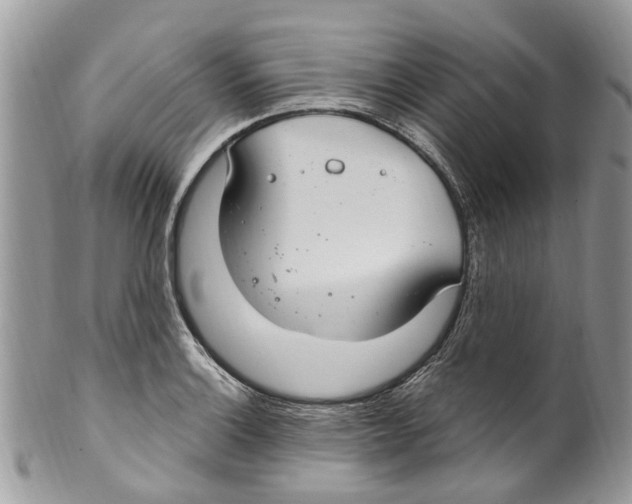 X0000099581132200806131312