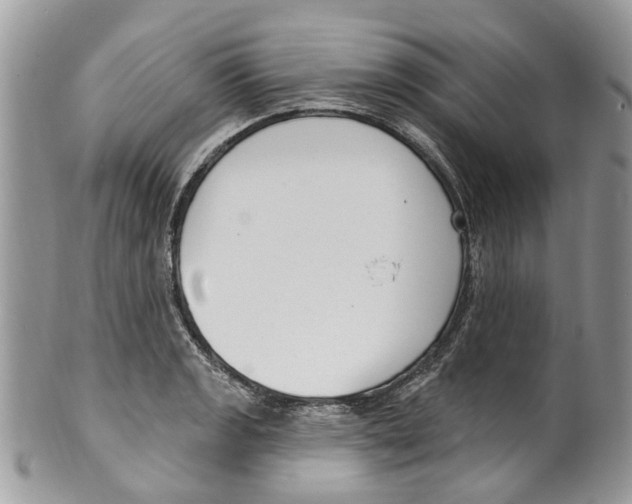 X0000099581133200806131312