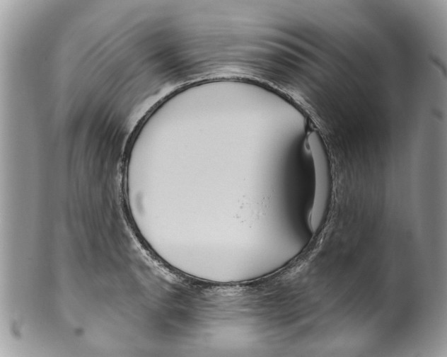 X0000099581134200806131312