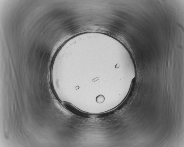 X0000099581136200806131312