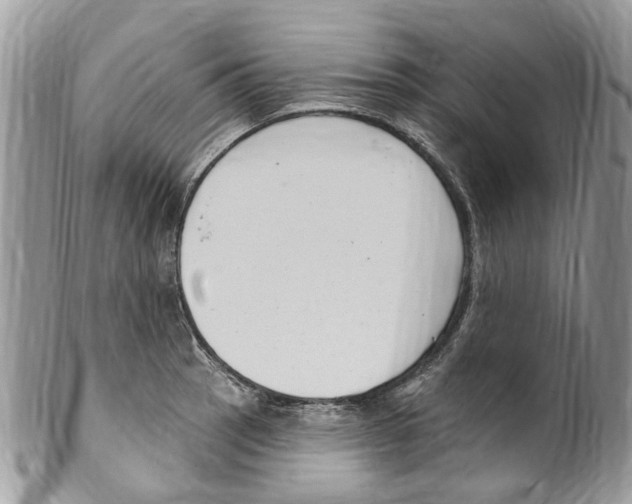 X0000099581137200806131312