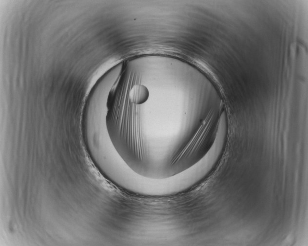 X0000099581138200806131312