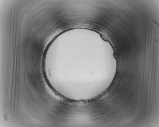 X0000099581139200806131312