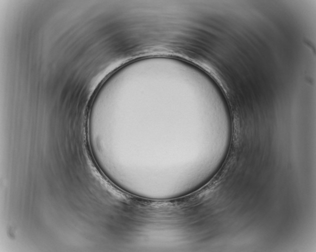 X0000099581142200806131312