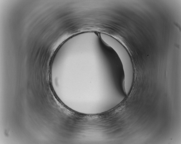 X0000099581143200806131312