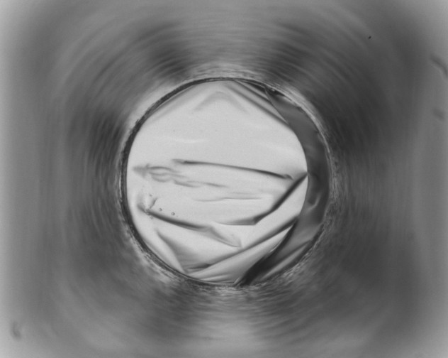 X0000099581144200806131312