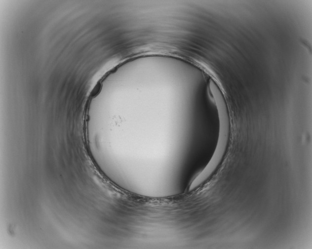 X0000099581146200806131312