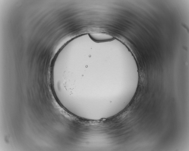 X0000099581147200806131312