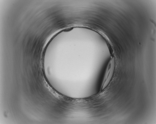 X0000099581148200806131312