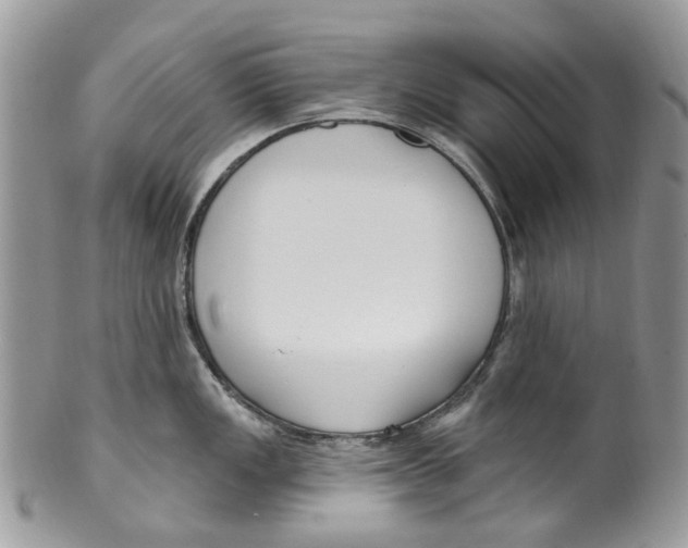 X0000099581149200806131312