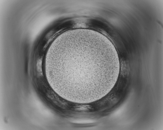 X0000099581150200806131312