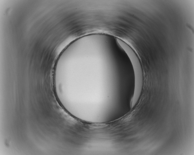 X0000099581151200806131312