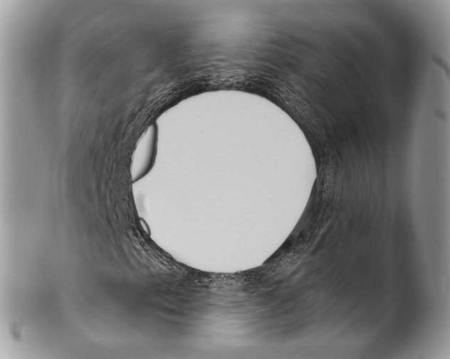 X0000099581153200806131312