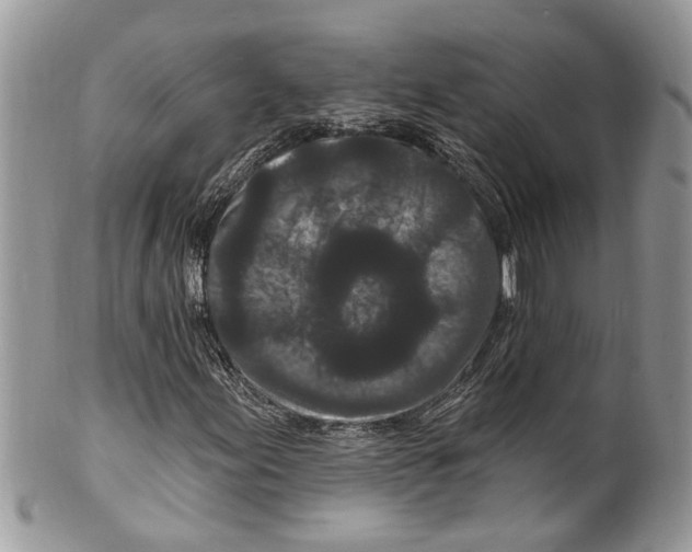 X0000099581155200806131312