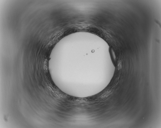 X0000099581156200806131311