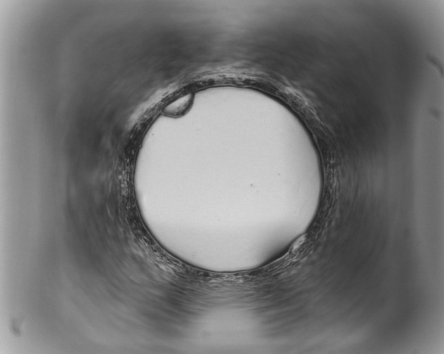 X0000099581159200806131311