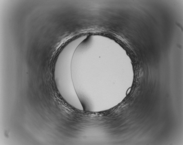 X0000099581160200806131311