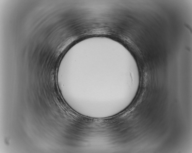 X0000099581162200806131311