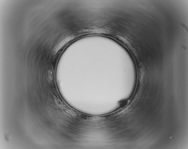 X0000099581163200806131311