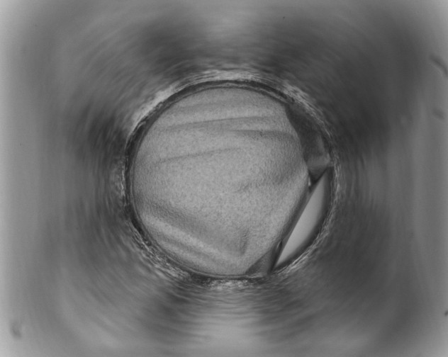 X0000099581165200806131311