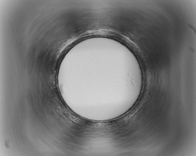 X0000099581166200806131311