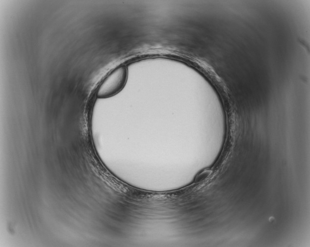 X0000099581167200806131311