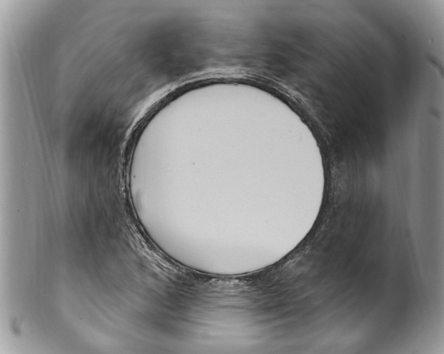 X0000099581168200806131311