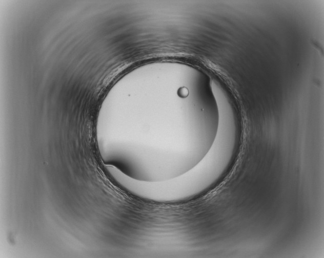 X0000099581169200806131311