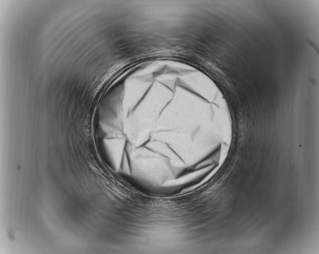 X0000099581170200806131311