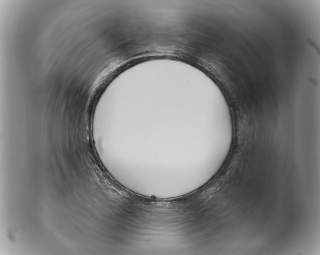 X0000099581172200806131311