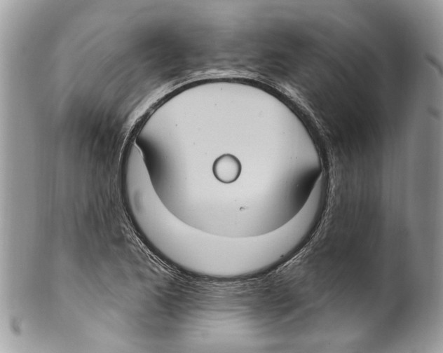 X0000099581173200806131311