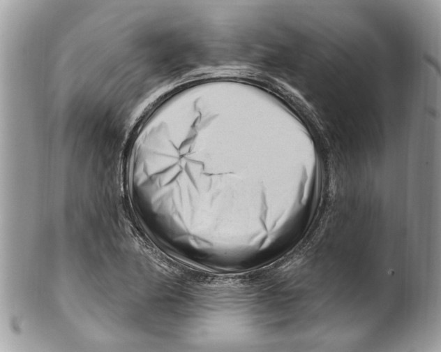 X0000099581174200806131311