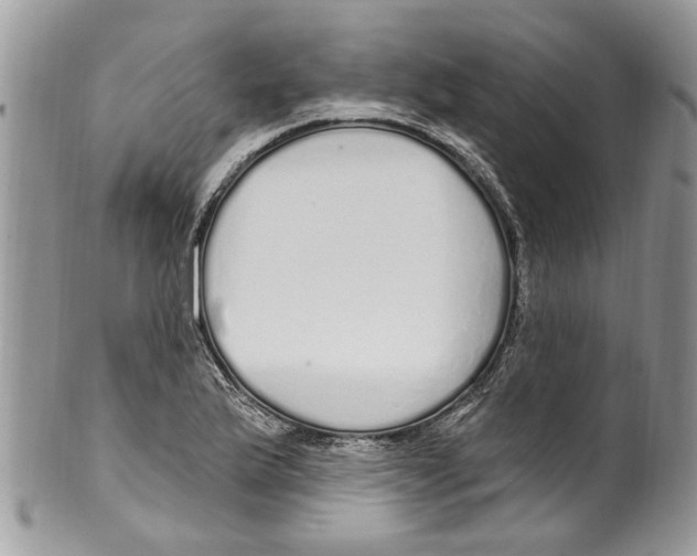 X0000099581175200806131311