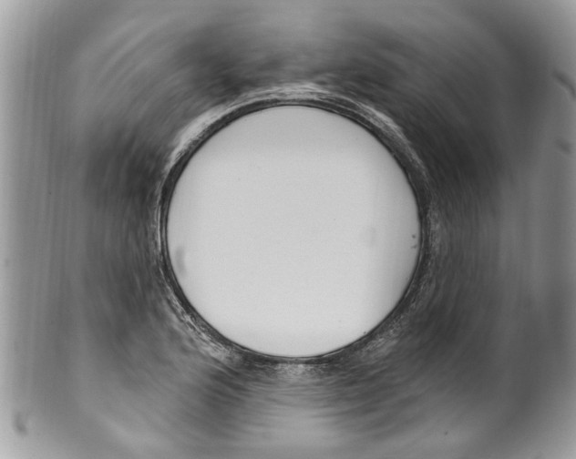 X0000099581176200806131311