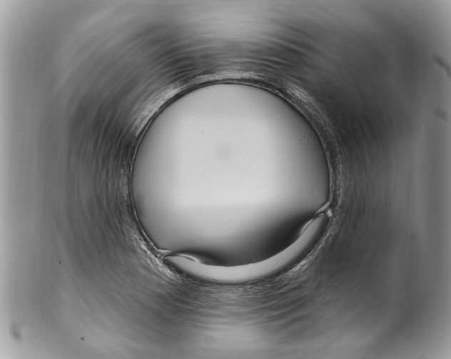 X0000099581177200806131311