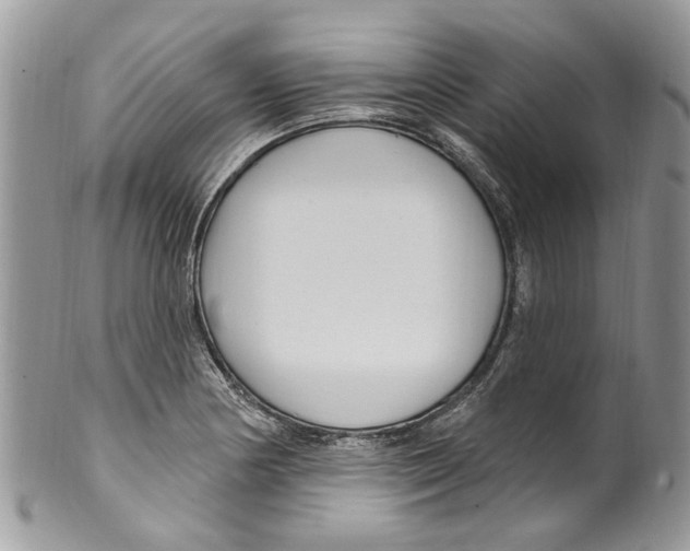 X0000099581178200806131311