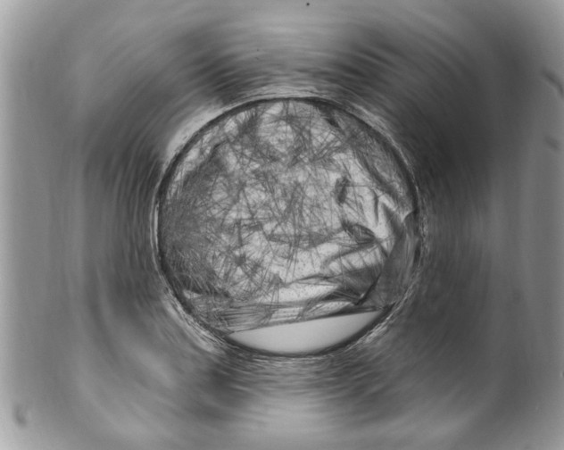 X0000099581179200806131311