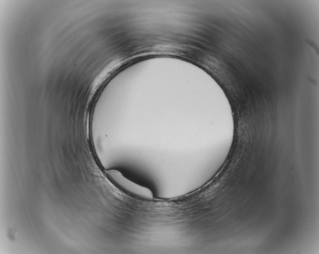 X0000099581180200806131311