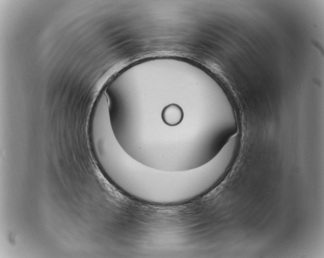 X0000099581181200806131311