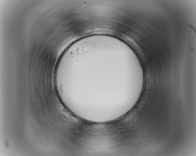 X0000099581182200806131311