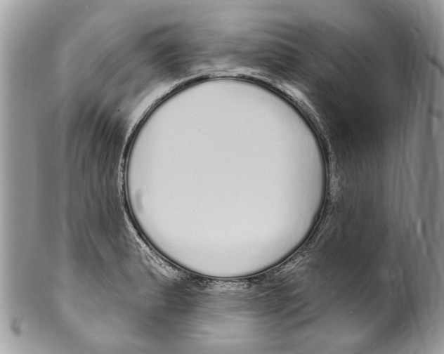 X0000099581183200806131311