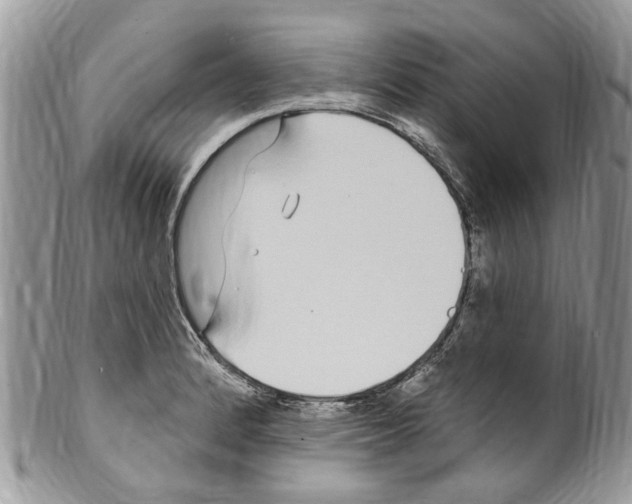 X0000099581184200806131311