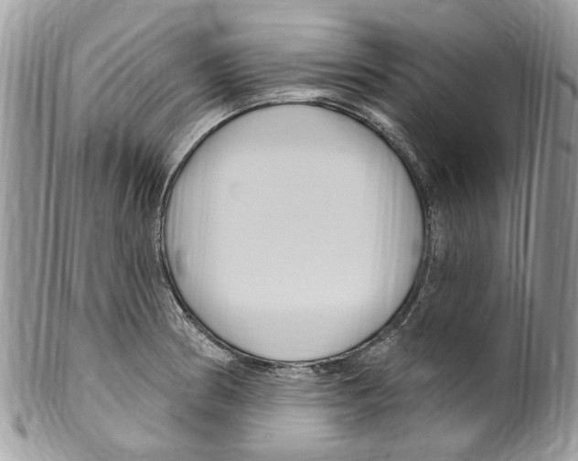 X0000099581186200806131311