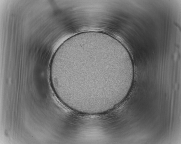 X0000099581187200806131311