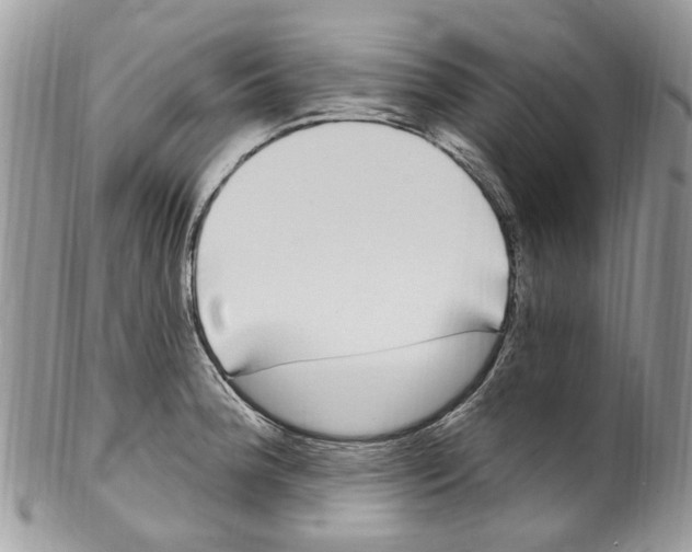 X0000099581188200806131311