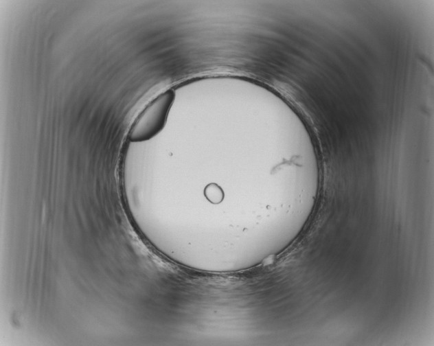 X0000099581189200806131311