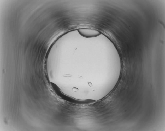 X0000099581190200806131311