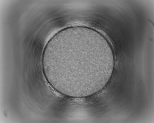 X0000099581191200806131311