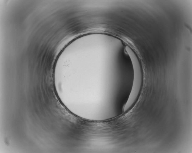 X0000099581192200806131311